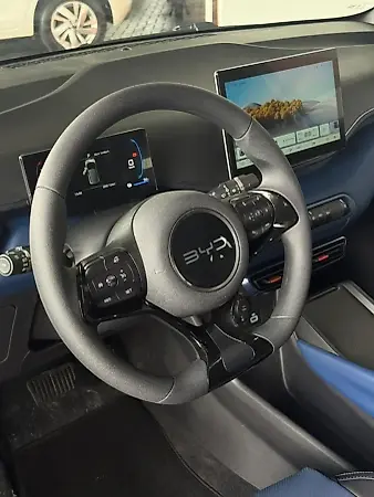 BYD D1 - Imagem 3