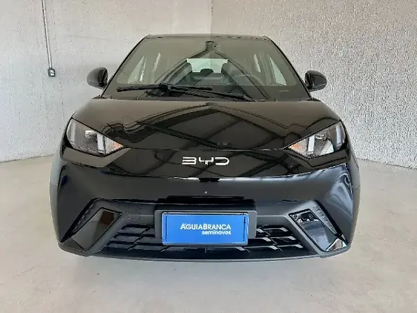BYD D1 - Imagem 1