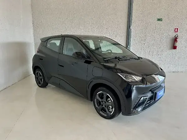 BYD D1 - Imagem 4