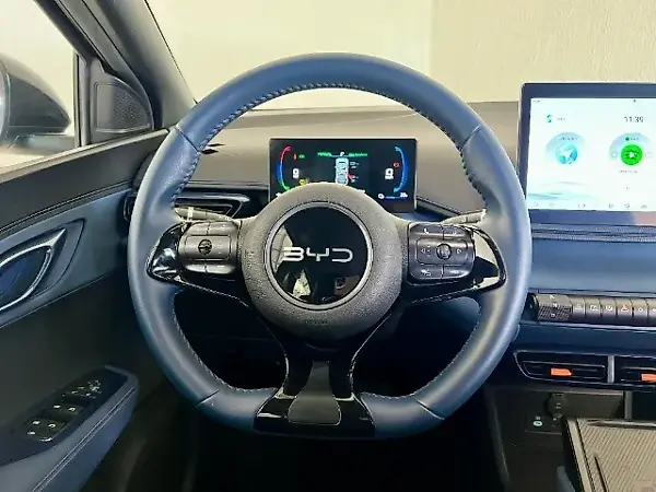 BYD D1 - Imagem 14