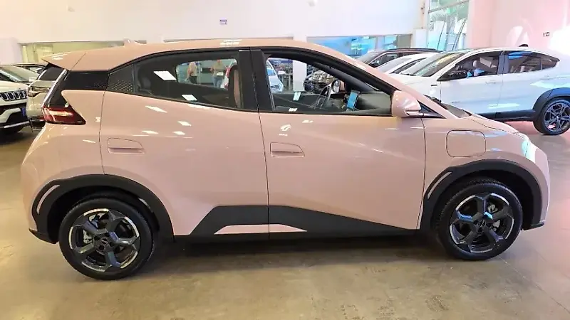 BYD D1 - Imagem 4