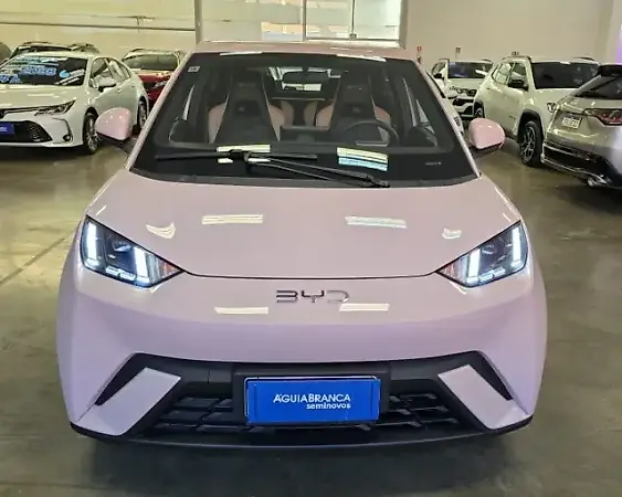 BYD D1 - Imagem 2