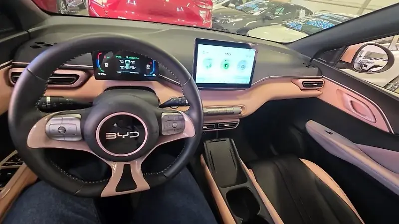 BYD D1 - Imagem 11