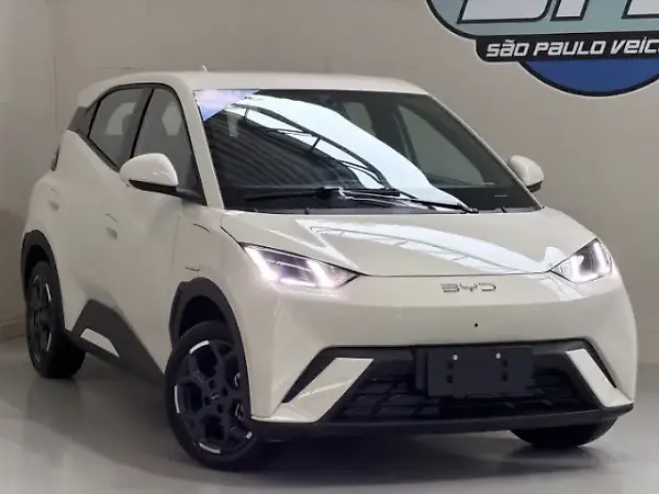 BYD D1 - Imagem 2