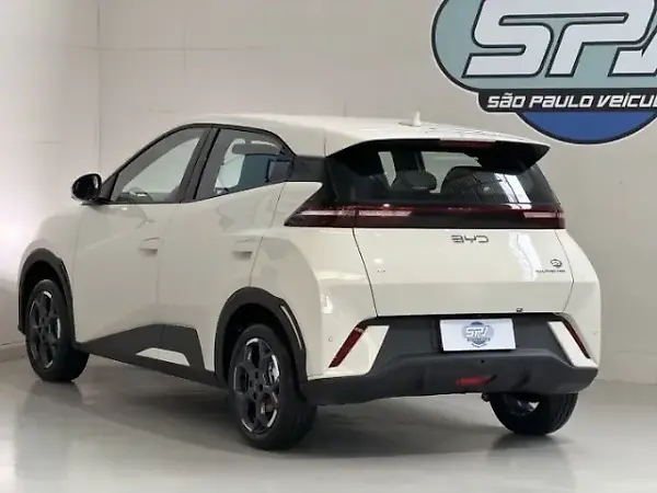 BYD D1 - Imagem 5