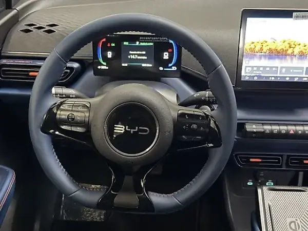 BYD D1 - Imagem 10