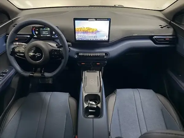 BYD D1 - Imagem 15