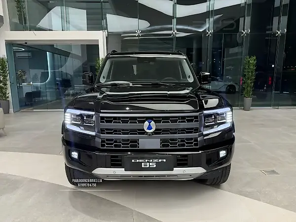 BYD D1 - Imagem 2