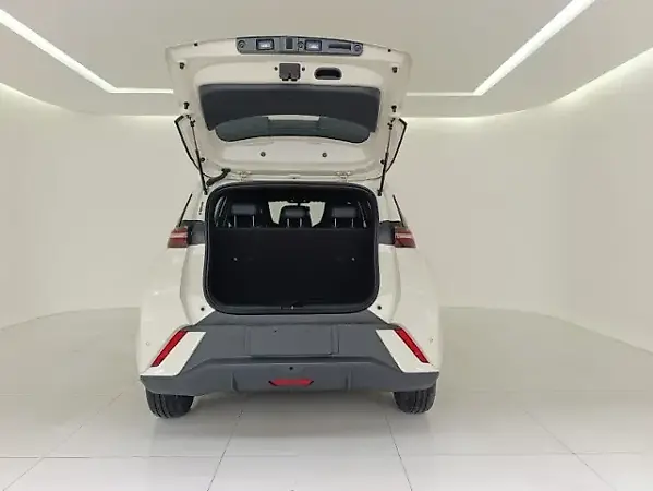 BYD Dolphin - Imagem 14