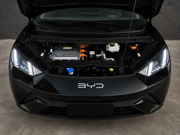 BYD Dolphin Mini - Imagem 5