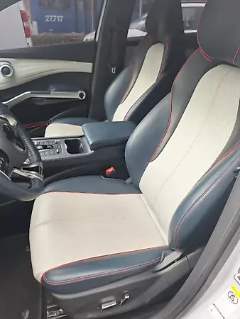 BYD Yuan Plus - Imagem 11