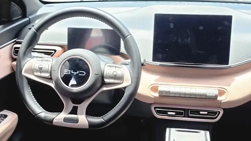 BYD Dolphin Mini - Imagem 11