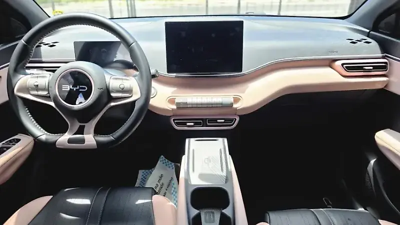 BYD Dolphin Mini - Imagem 12