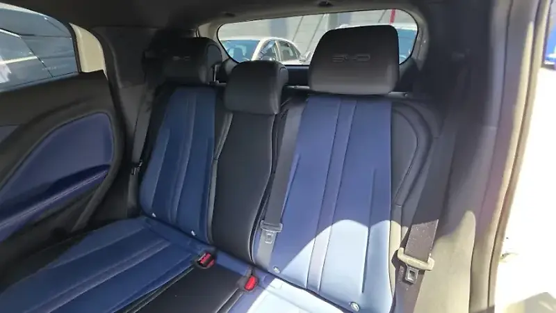 BYD Dolphin Mini - Imagem 18