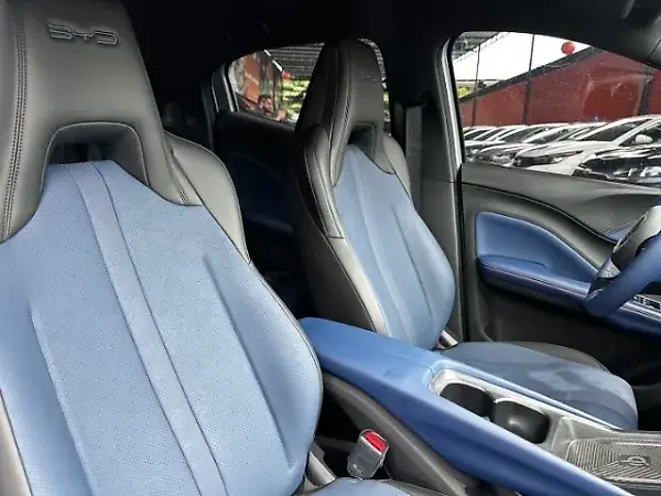 BYD Dolphin Mini - Imagem 12