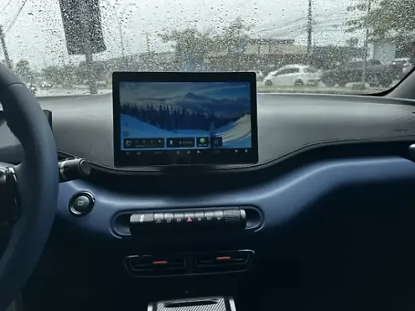 BYD Dolphin Mini - Imagem 13