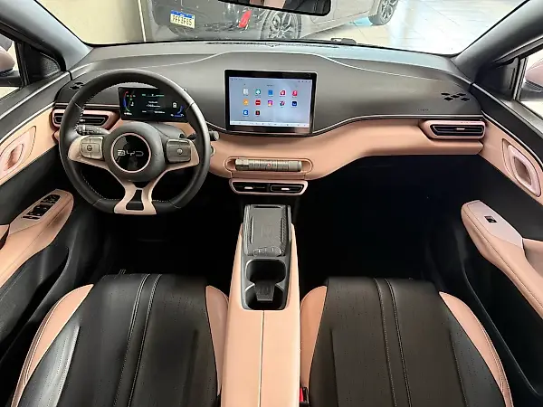 BYD Dolphin Mini - Imagem 9
