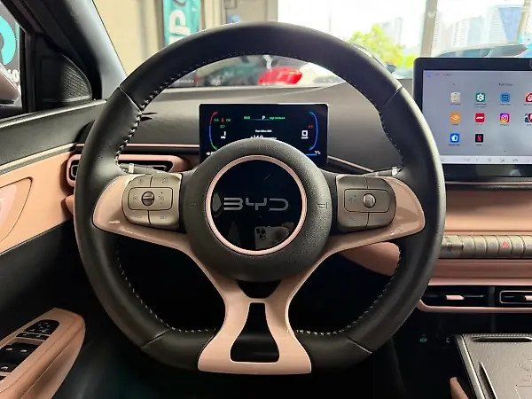 BYD Dolphin Mini - Imagem 13