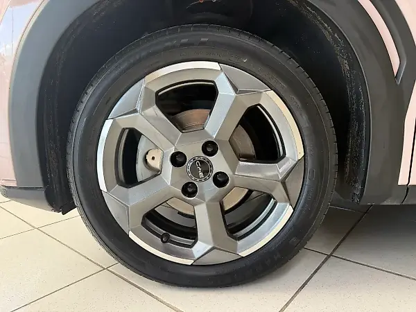 BYD Dolphin Mini - Imagem 19