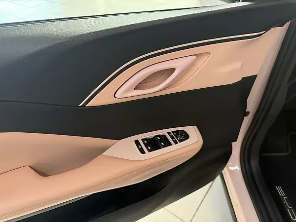 BYD Dolphin Mini - Imagem 17