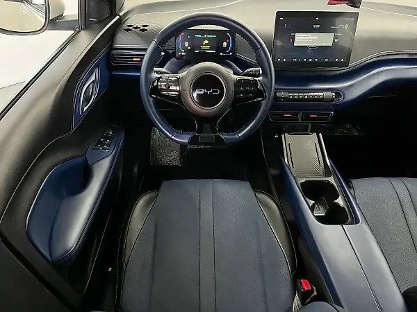BYD Dolphin Mini - Imagem 9