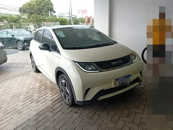 BYD Dolphin - Imagem 1