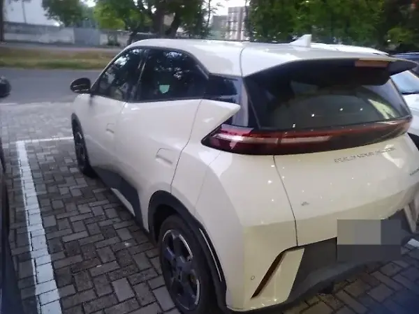BYD Dolphin Mini - Imagem 2