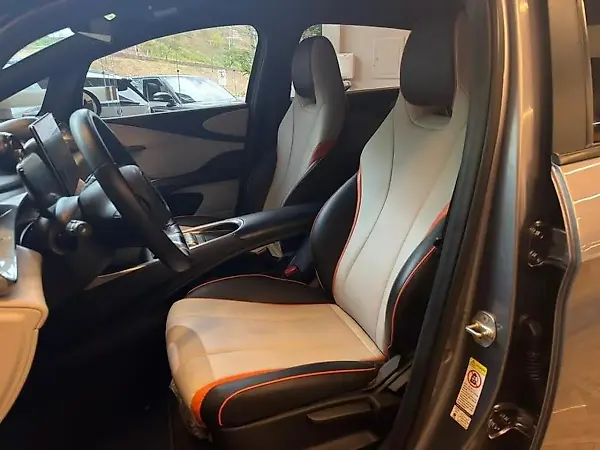 BYD Dolphin Plus - Imagem 10