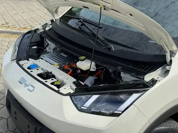 BYD Dolphin Mini - Imagem 9