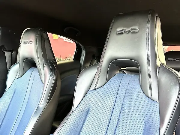 BYD Dolphin Plus - Imagem 10