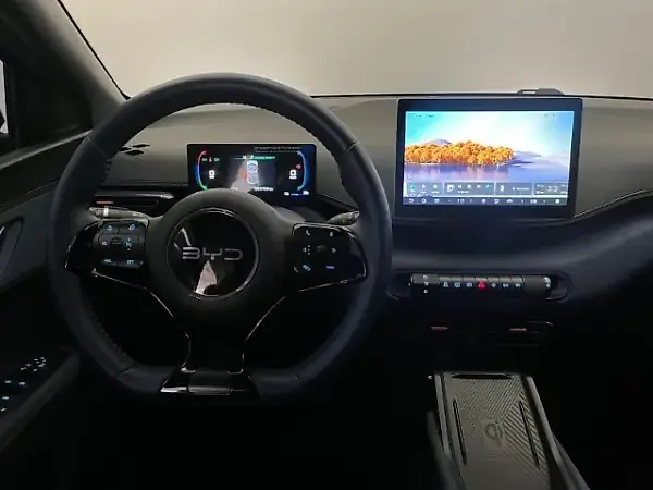 BYD Dolphin Mini - Imagem 8