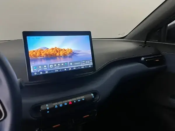 BYD Dolphin Mini - Imagem 11