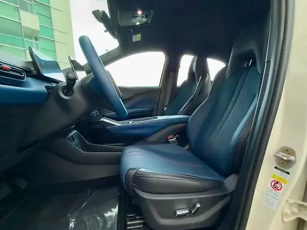 BYD Dolphin Mini - Imagem 10
