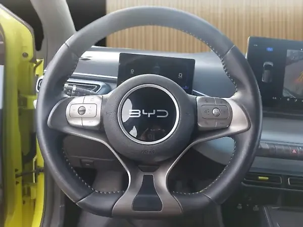 BYD Dolphin Mini - Imagem 7