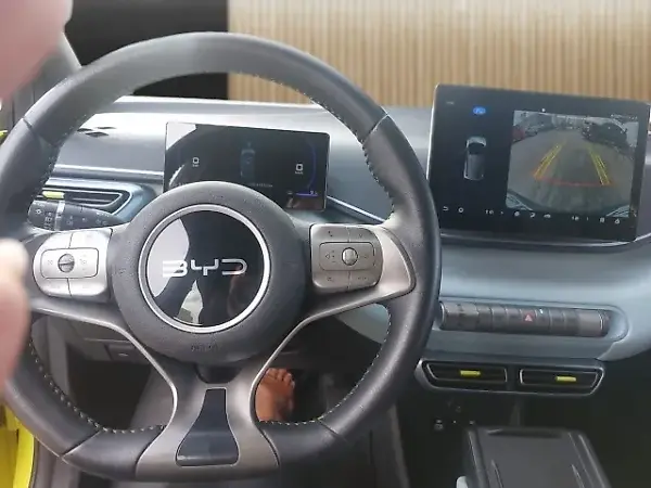 BYD Dolphin Mini - Imagem 9