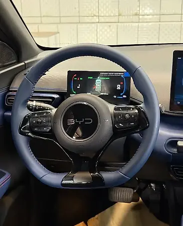 BYD Dolphin Mini - Imagem 6