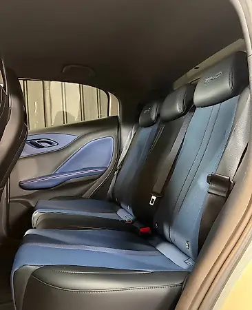 BYD Dolphin Mini - Imagem 8