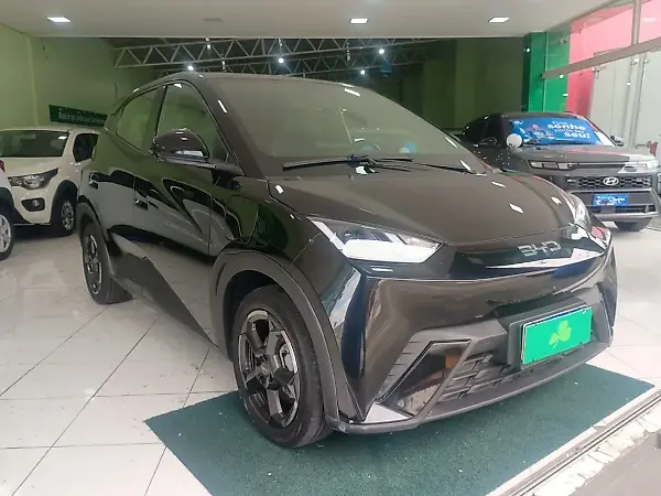 BYD Dolphin Mini - Imagem 2