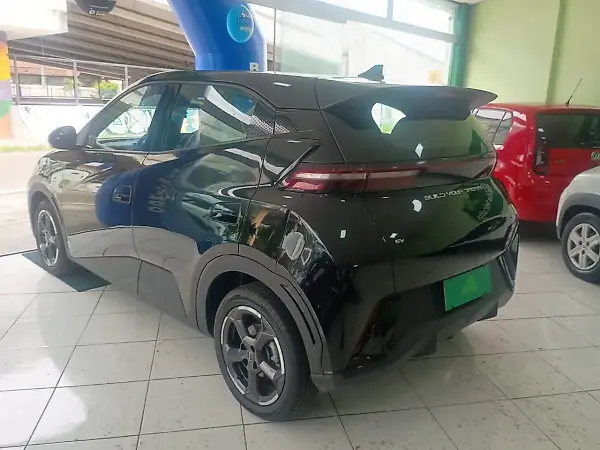 BYD Dolphin Mini - Imagem 7