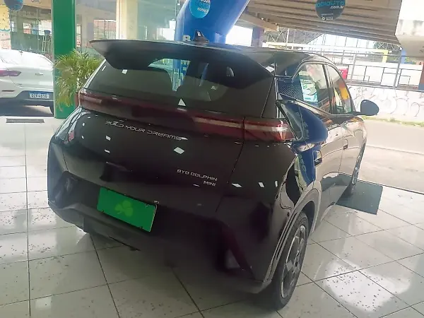 BYD Dolphin Mini - Imagem 6