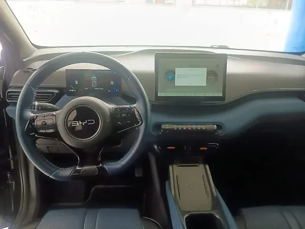 BYD Dolphin Mini - Imagem 12