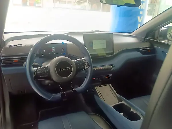 BYD Dolphin Mini - Imagem 11