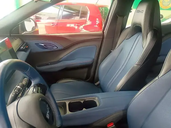 BYD Dolphin Mini - Imagem 16
