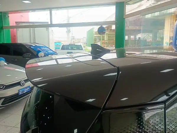 BYD Dolphin Mini - Imagem 20