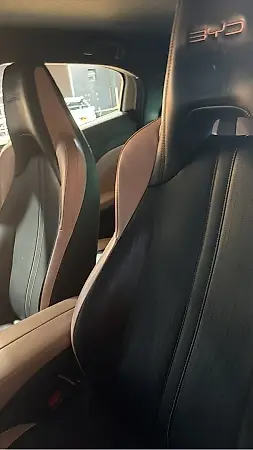 BYD Dolphin Mini - Imagem 3