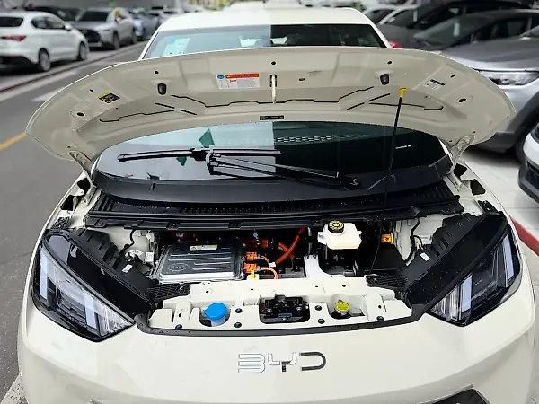 BYD Dolphin Mini - Imagem 12