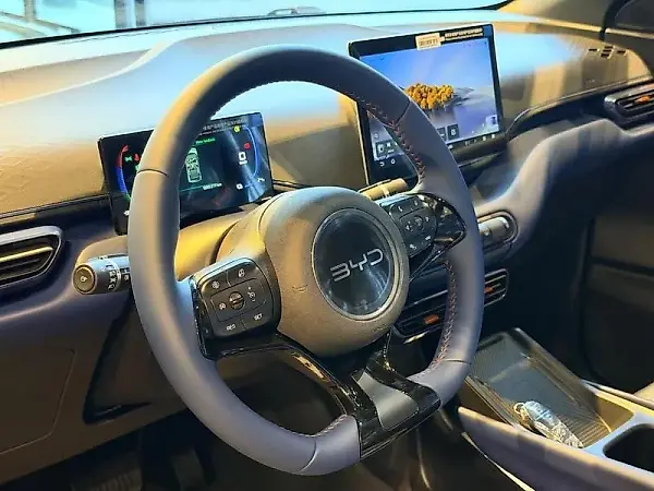 BYD Dolphin Mini - Imagem 11