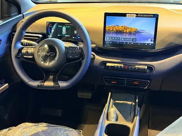 BYD Dolphin Mini - Imagem 9