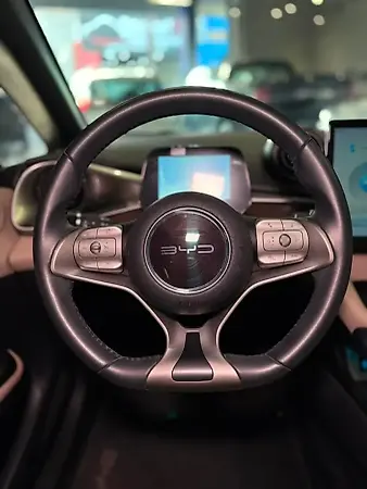 BYD Dolphin - Imagem 12