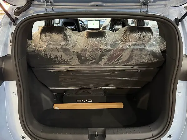 BYD Dolphin Mini - Imagem 13